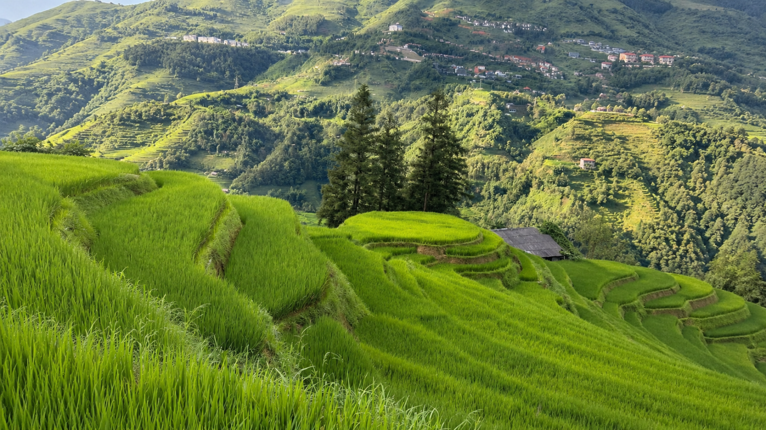 Homestay Adventure Trek